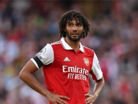 والد محمد النني يكشف اقتراب النصر من ضم لاعبي أرسنال