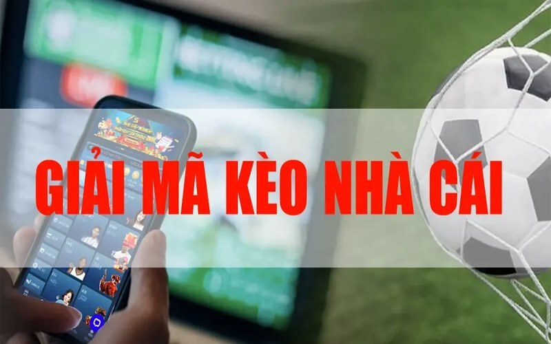Bds Da Nang Bí Kíp Thắng Lớn & Những Cạm Bẫy Chờ Đợi
