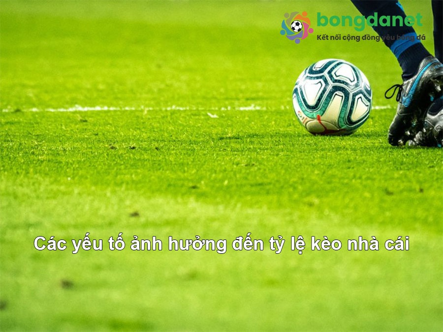 Buồi To Bí Quyết Dự Đoán Chính Xác Và Chiến Thắng Đậm Đà