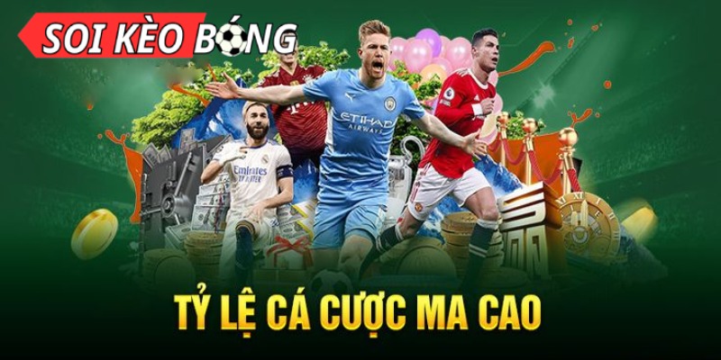 Hướng Dẫn Đọc Xxxviet Bí Quyết Dự Đoán Chính Xác