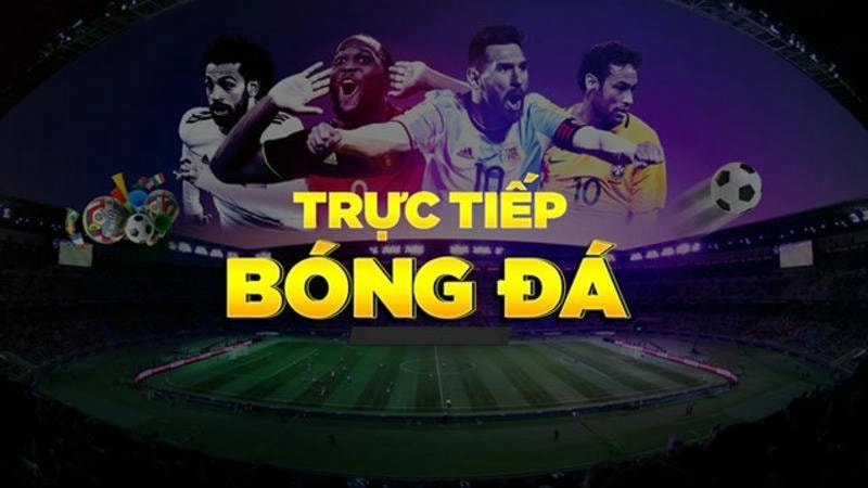 Khám Phá Xnxx Pha Trinh – Hướng Dẫn Toàn Diện Cho Người Mới