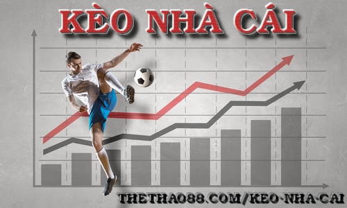 Giải Mã Mua Bán Đất Hoà Quý Đà Nẵng Bí Mật Cá Cược Thắng Lớn