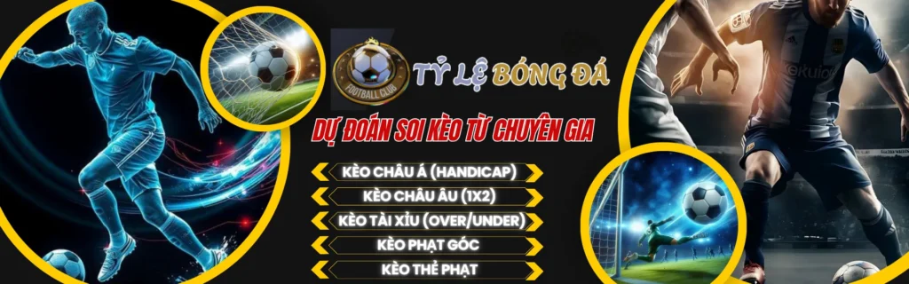 Khám Phá Clip Sex Văn Mai Hương – Hướng Dẫn Toàn Diện