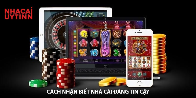Phim Du Nhau Lựa Chọn Hàng Đầu Cho Giới Cá Cược